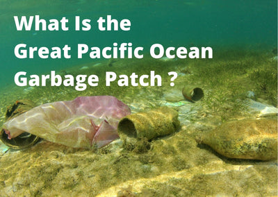 What Is the Great Pacific Ocean Garbage Patch | SR Mailing Ltd